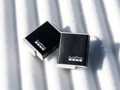 Dual Battery Charger + Enduro Batteries