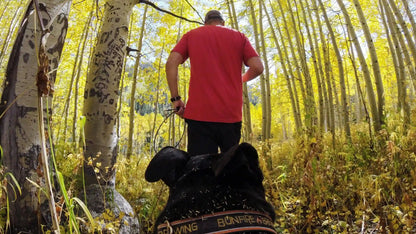 Fetch Dog Harness