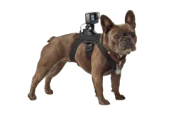 Fetch Dog Harness